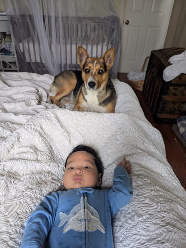 Kaiyan, 2026-02-15